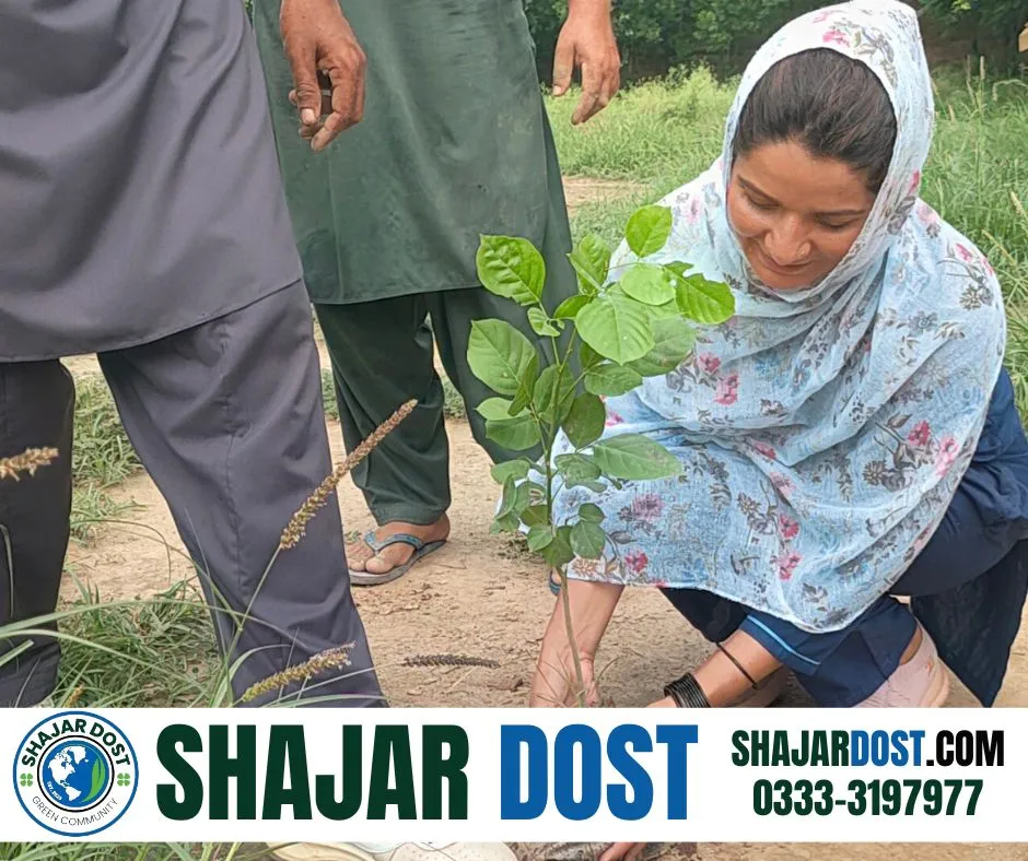 Green Seekers Activity